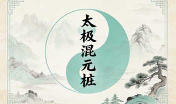 守一哥《太极混元桩》内劲教学视频5集