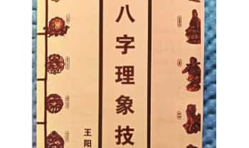 王阳辉《八字理象技》开悟特训八字理象技.237页.PDF电子版