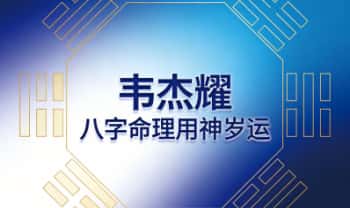 韦杰耀《八字命理用神岁运》视频课18集