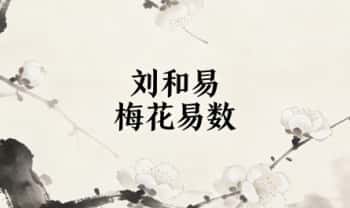 刘和易《梅花易数》11集视频课