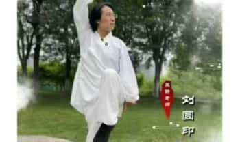 刘圆印《5+2天道家修身训练营》视频课9集