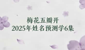 梅花五瓣开《2025年姓名预测学》视频课6集