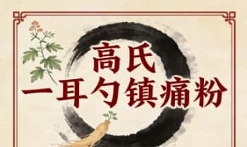 高氏 一耳勺镇痛粉 一次见效 PDF文档