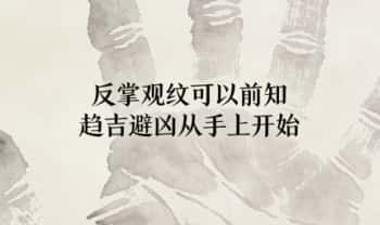 玄弘《反掌观纹可以前知，趋吉避凶从手上开始》视频课6集