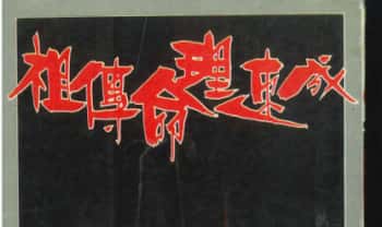 柯文翰《祖传命理速成》302页.PDF电子版