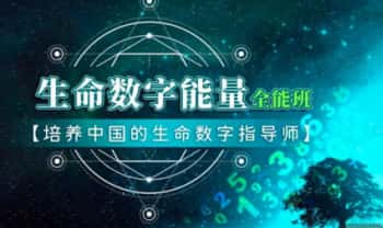 【培养中国的生命数字指导师】生命数字能量全能班 音频课合集