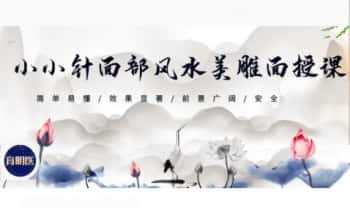 刘梅《小小针面部风水美雕面授课》38集视频课