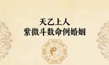 天乙上人紫微斗数命例婚姻 视频15集
