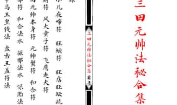 《江南清微三田都元帅法秘合集》17双页.PDF电子版