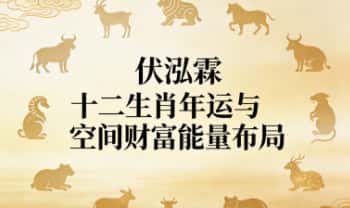 伏泓霖2025年《十二生肖年运与空间财富能量布局》视频课26集