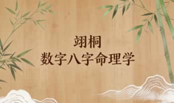 翊桐《数字八字命理学》视频课41集