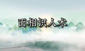 张芝鸣《面相识人学》视频课14集