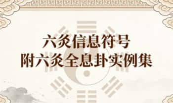 《六爻信息符号》附六爻全息卦实例集 高清完整版 255页.PDF电子版