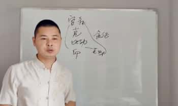 四品《四柱八字系统教程》视频课63集