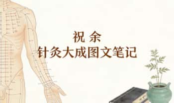 祝余《针灸大成图文笔记》(根据倪海厦老师视频整理)68页 彩色PDF电子版