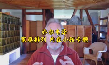 乔尔韦泽《家庭排列 内在小孩专题》12集视频课