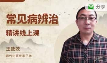 王致效《常见病辨治精讲》线上音频课14集