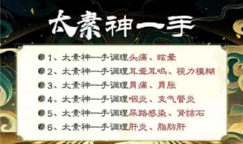 青城山道医 诚仙老师《太素神一手》视频课5集
