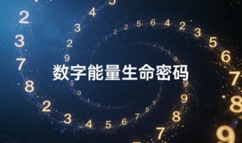 yoyo《数字能量生命密码》13集视频