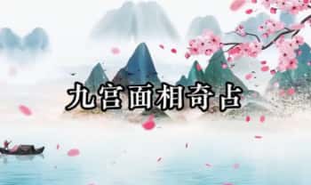 张芝鸣《九宫面相奇占密训营》视频15集