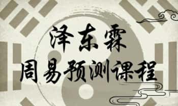泽东霖《周易预测课程》视频课30集