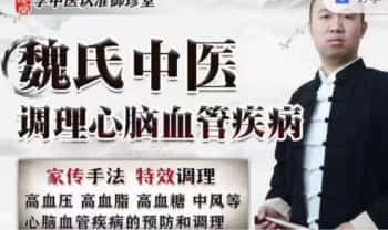 魏晓辉《魏氏中医调理心脑血管疾病》视频课10集
