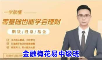 苏志荣 玄学股票期货基金《金融梅花易中阶》视频课10集