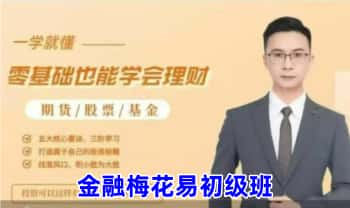 苏志荣 玄学股票期货基金《金融梅花易初级》视频课16集