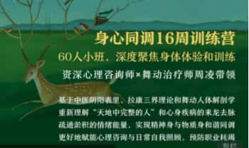 周凌《身心同调16周训练营丨整合中医、舞动与拉康，赋能心理咨询与自我照顾》视频18集