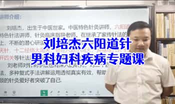 刘培杰 六阳道针《男科妇科疾病专题课》视频16集+4大密方文档