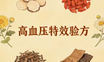 秘方【高血压特效验方】电子文档