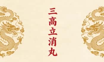 秘方【三高立消丸】电子文档