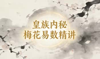 崇云道长《皇族内秘梅花易数精讲》视频课11集