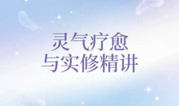 zoehealer《灵气疗愈与实修精讲》14集音频课