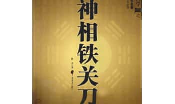 《神相铁关刀》文白对照足本全译 378页.PDF电子版