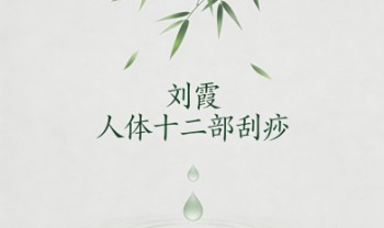 刘霞《人体十二部刮痧》视频课13集