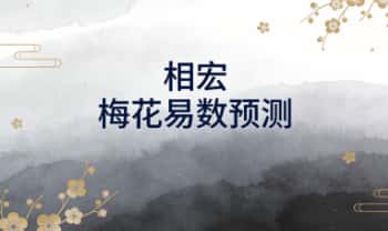 相宏《梅花易数预测》视频课10集