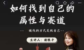 谢胜子《如何找到自己的属性与赛道》视频十二讲