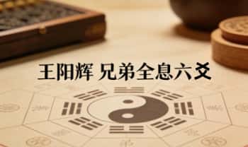 王阳辉《兄弟全息六爻》162页.PDF电子版