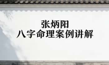 张炳阳《八字命理案例讲解》视频课56集