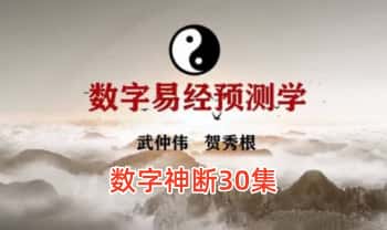 贺秀根弟子伍仲伟老师《数字神断》九天玄数 30集视频课
