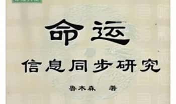 鲁木森《命运信息同步研究》414页.PDF电子版