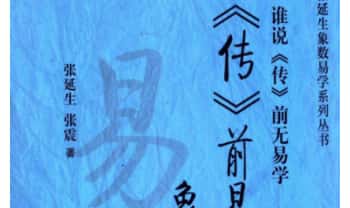 张延生 张震《传前易学及象数易学》上下2册合集 430+442页.PDF电子版