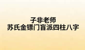 子非老师《苏氏金镖门盲派四柱八字合集》视频162集