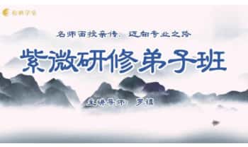 罗镇《紫微斗数研修弟子班+第12期案例分享》视频课44集