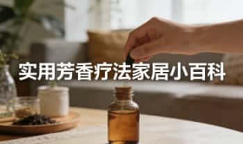 张瑞金《实用芳香疗法家居小百科-居家轻松学健康》视频课117集