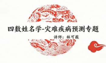 林可微《四数姓名学-灾难疾病预测专题》视频课7集