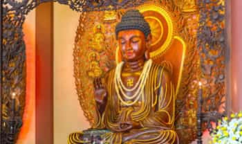 张显君老师《心经》视频课85集