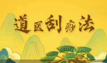 陈法灵《道医刮痧法》视频课2集