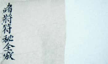 符箓法本《雷霆诸将符秘全窍》67筒子页.PDF电子版